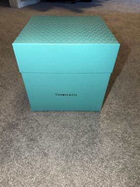 Tiffany & Co x Arsham Studios Box